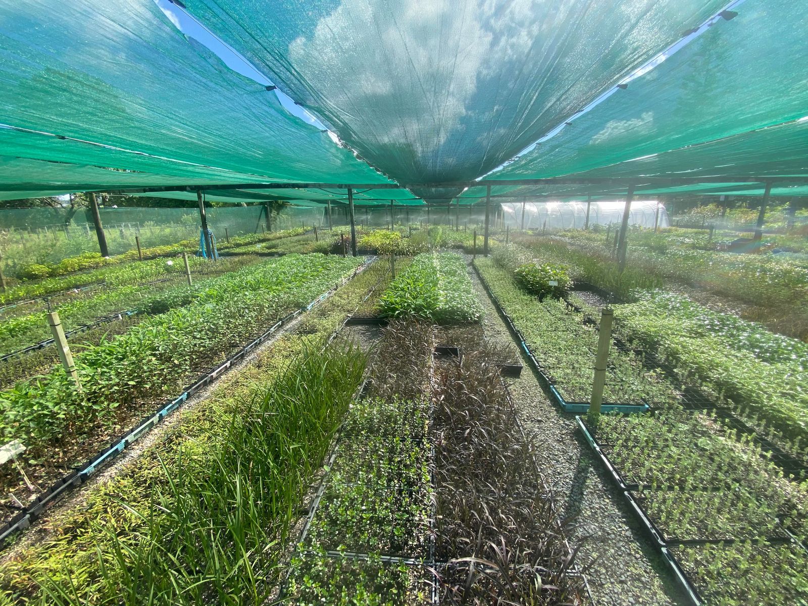 About Us Kerikeri Plant Production